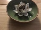 静安区附近按摩店有哪些地方,静安区按摩店分布概览